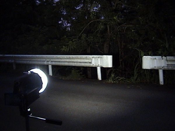 夜の山道でもライトトラップ